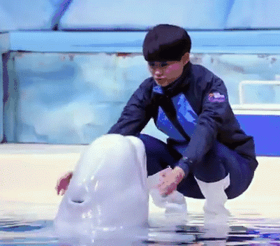 003.gif