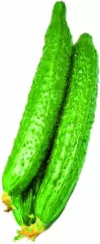 ΢ňDƬ_20181128151547.jpg