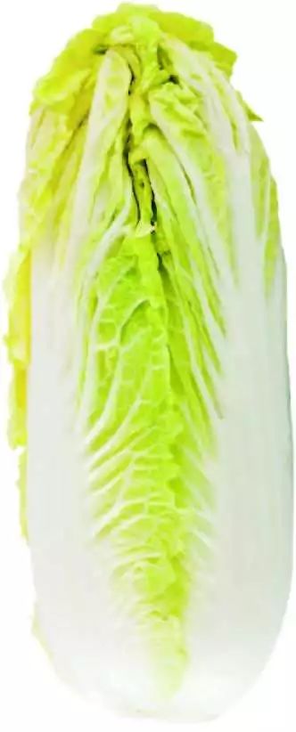 ΢ňDƬ_20181128151550.jpg