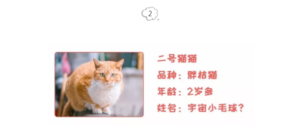 ΢ňDƬ_20181130112034.png