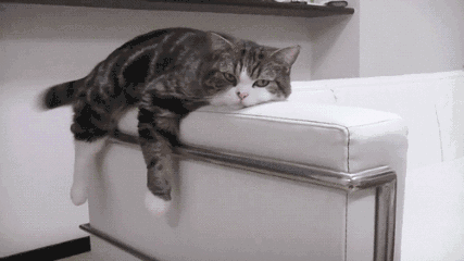 ΢ňDƬ_20190111174237.gif